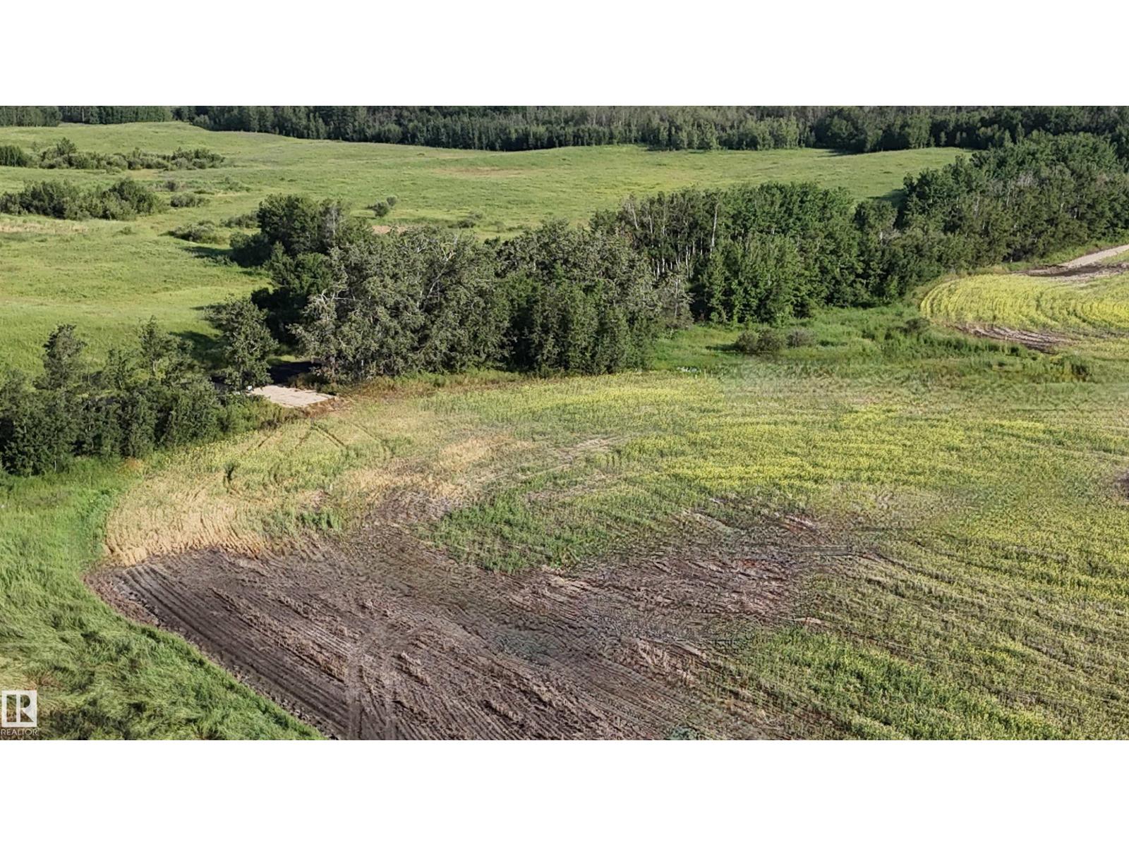 51421 Rr 233, Rural Strathcona County, Alberta  T8B 1L1 - Photo 47 - E4498603