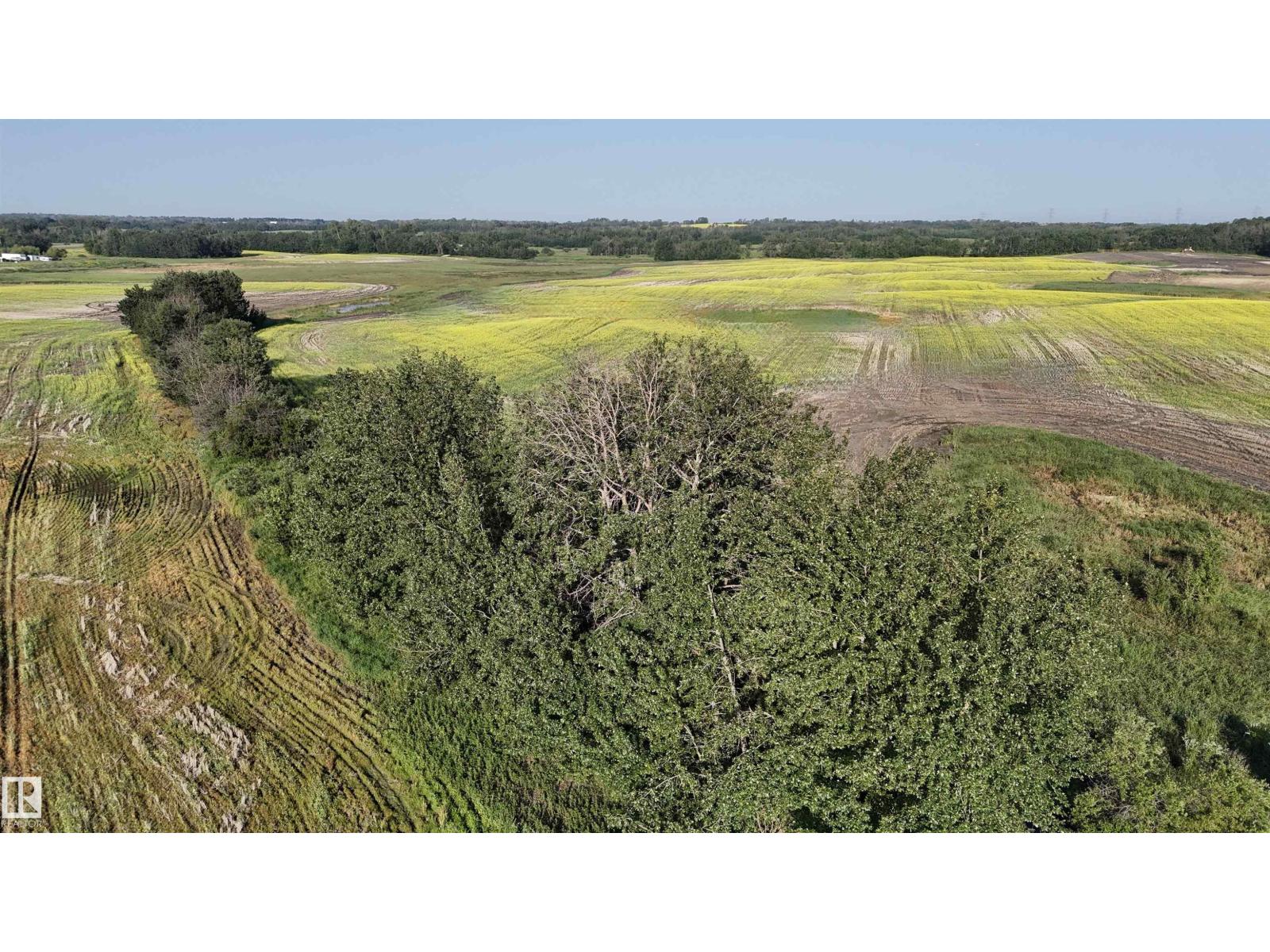 51421 Rr 233, Rural Strathcona County, Alberta  T8B 1L1 - Photo 26 - E4498603