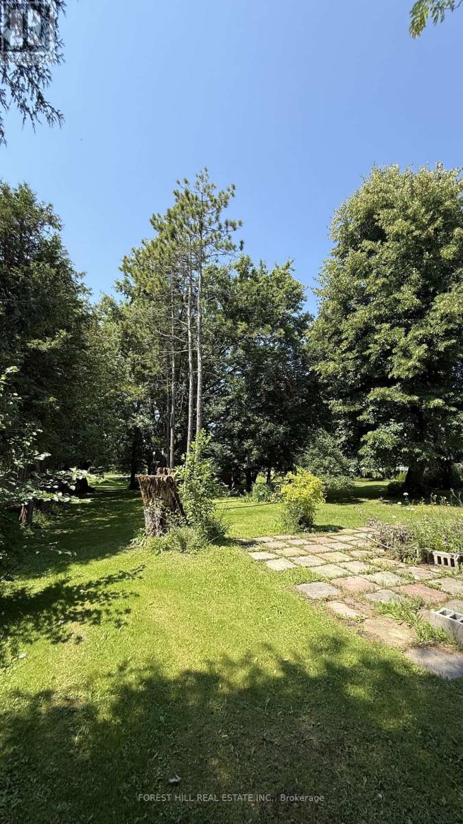 435 Main Street W, Shelburne, Ontario  L9V 3P1 - Photo 39 - X13717966