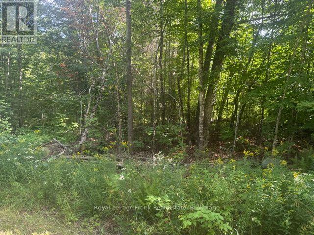 905 & 841 North Mckenzie Lake Road, South Algonquin, Ontario  K0J 2M0 - Photo 3 - X13216632