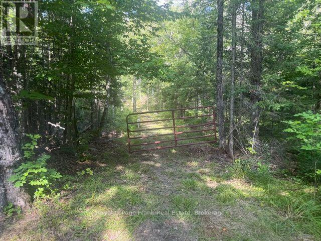 905 & 841 North Mckenzie Lake Road, South Algonquin, Ontario  K0J 2M0 - Photo 1 - X13216632