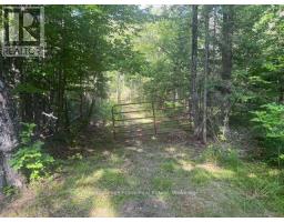 905 & 841 NORTH MCKENZIE LAKE ROAD, South Algonquin, Ontario
