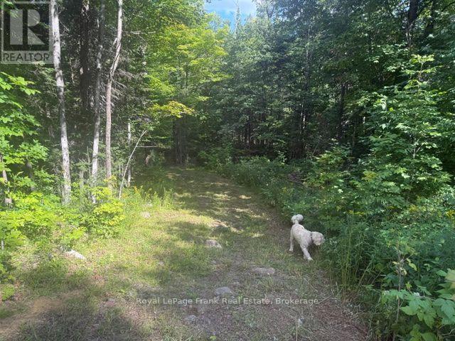 905 & 841 North Mckenzie Lake Road, South Algonquin, Ontario  K0J 2M0 - Photo 2 - X13216632