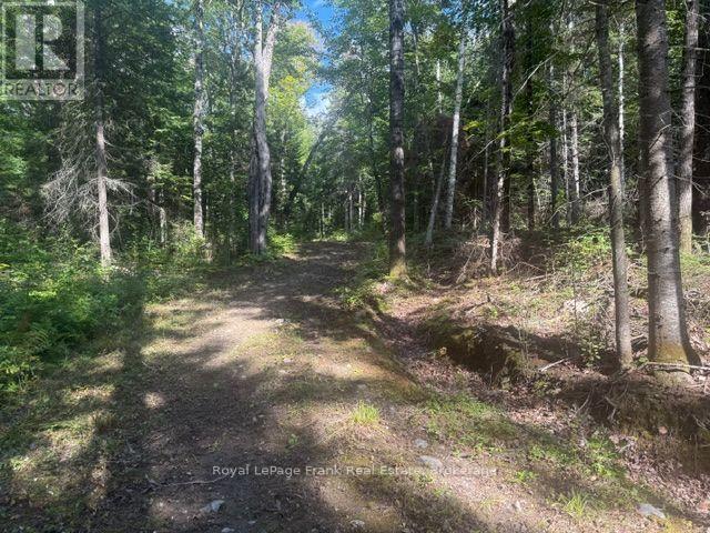 905 & 841 North Mckenzie Lake Road, South Algonquin, Ontario  K0J 2M0 - Photo 7 - X13216632