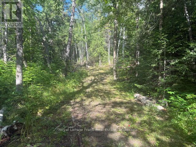 905 & 841 North Mckenzie Lake Road, South Algonquin, Ontario  K0J 2M0 - Photo 4 - X13216632