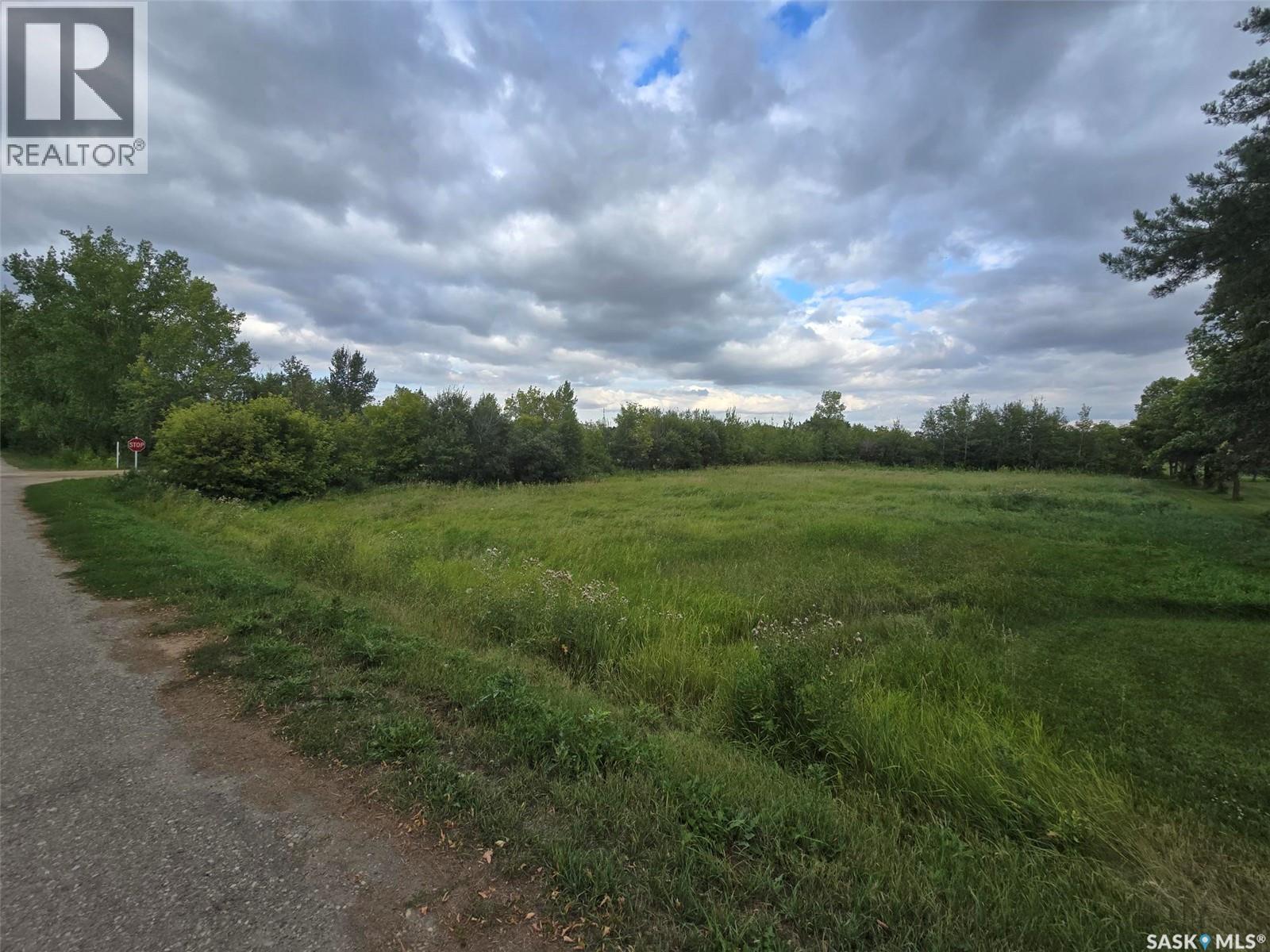 301 Ash Street, Wolseley, Saskatchewan  S0G 5H0 - Photo 3 - SK046794