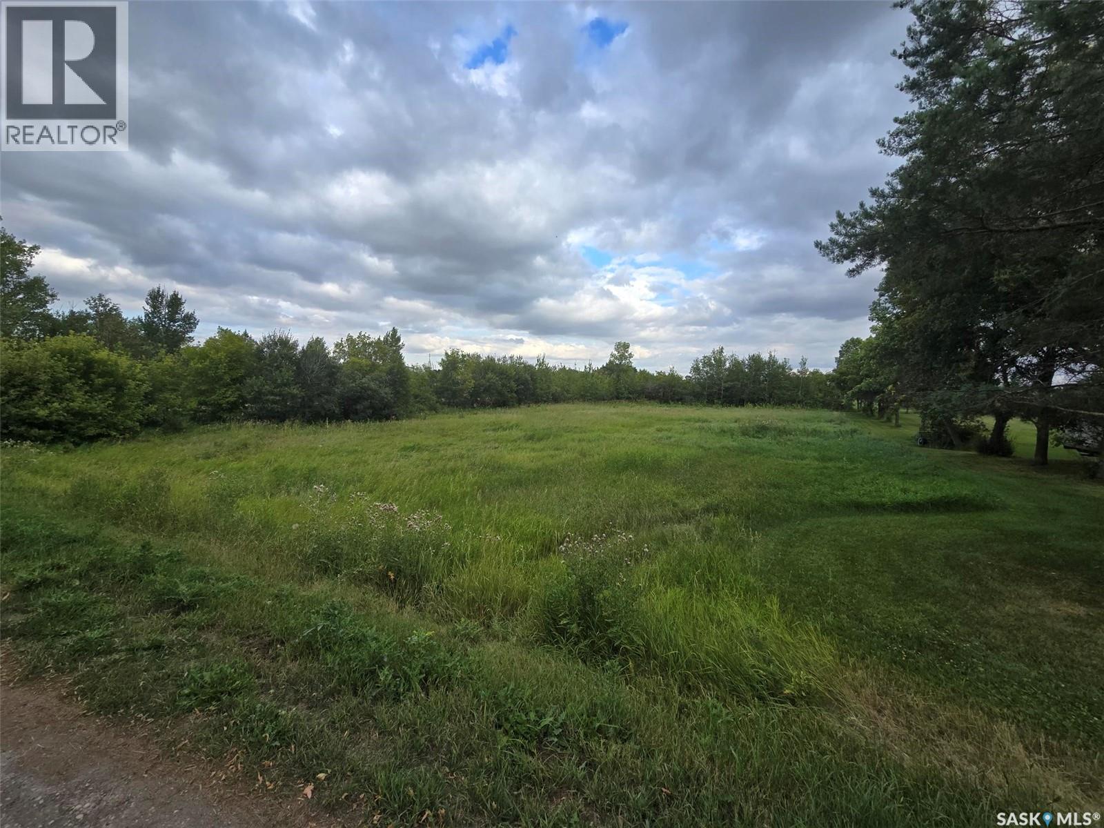 301 Ash Street, Wolseley, Saskatchewan  S0G 5H0 - Photo 5 - SK046794