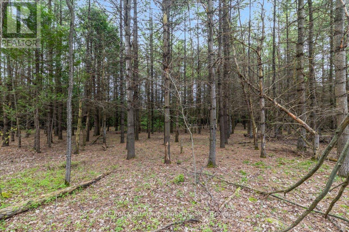 Pt Lt 70 West Back Line, Chatsworth, Ontario  N0C 1H0 - Photo 13 - X13097000