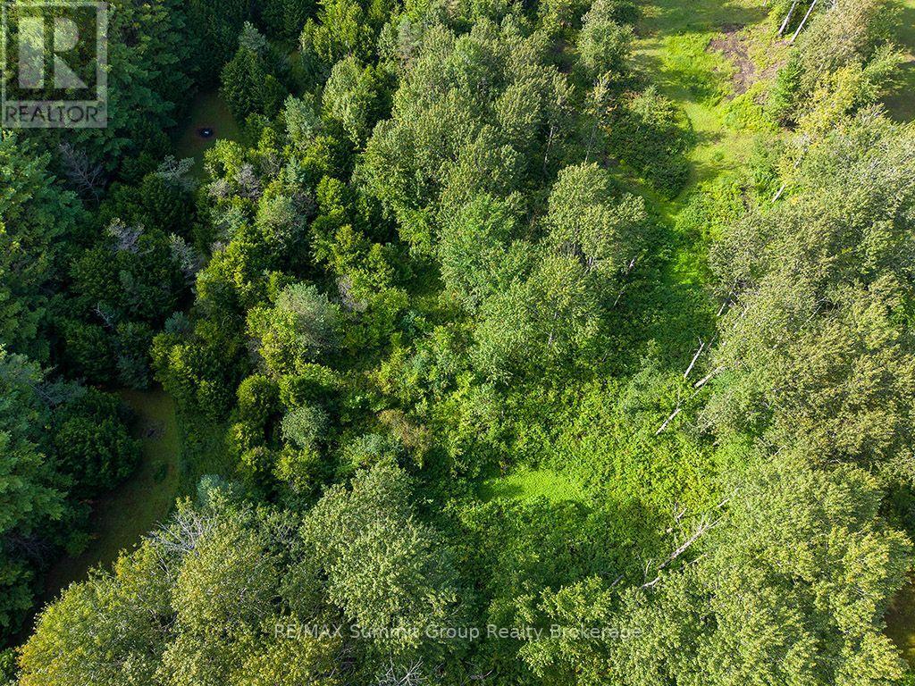 Pt Lt 70 West Back Line, Chatsworth, Ontario  N0C 1H0 - Photo 14 - X13097000