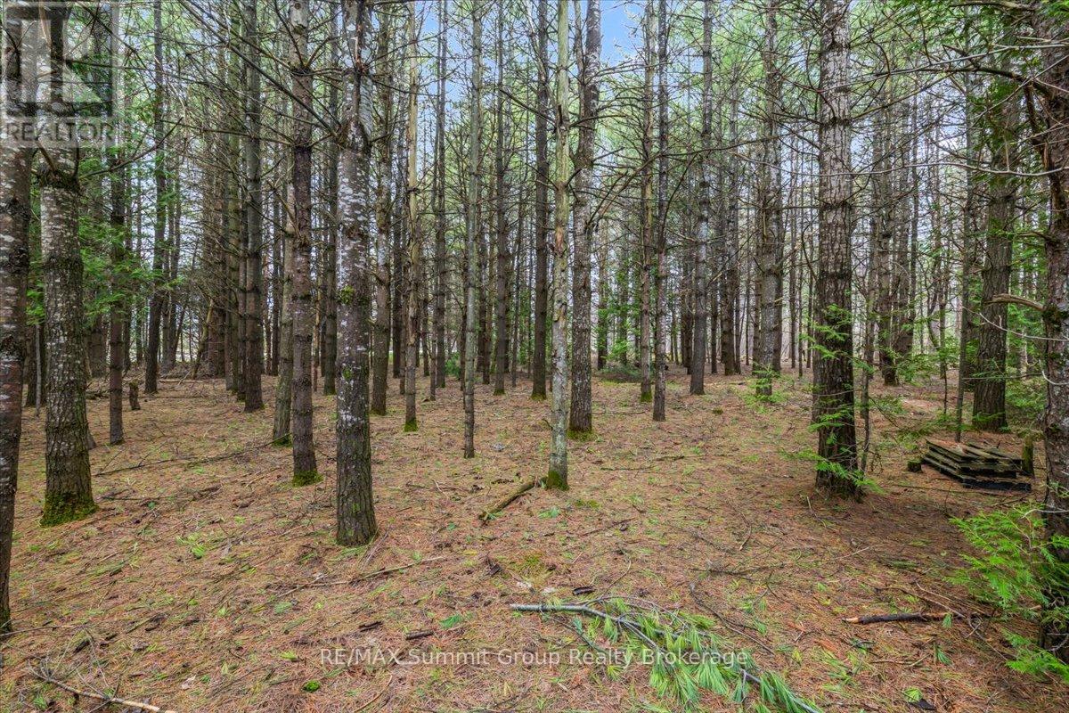 Pt Lt 70 West Back Line, Chatsworth, Ontario  N0C 1H0 - Photo 12 - X13097000