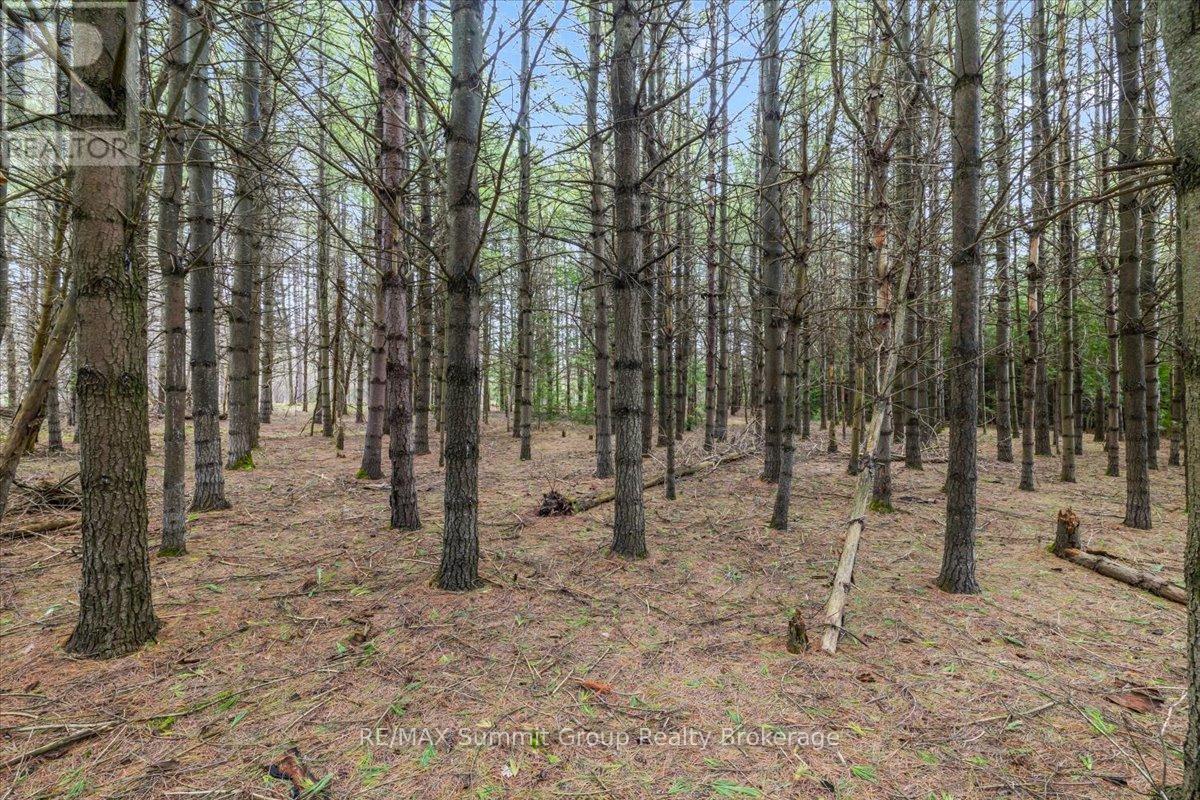 Pt Lt 70 West Back Line, Chatsworth, Ontario  N0C 1H0 - Photo 11 - X13097000