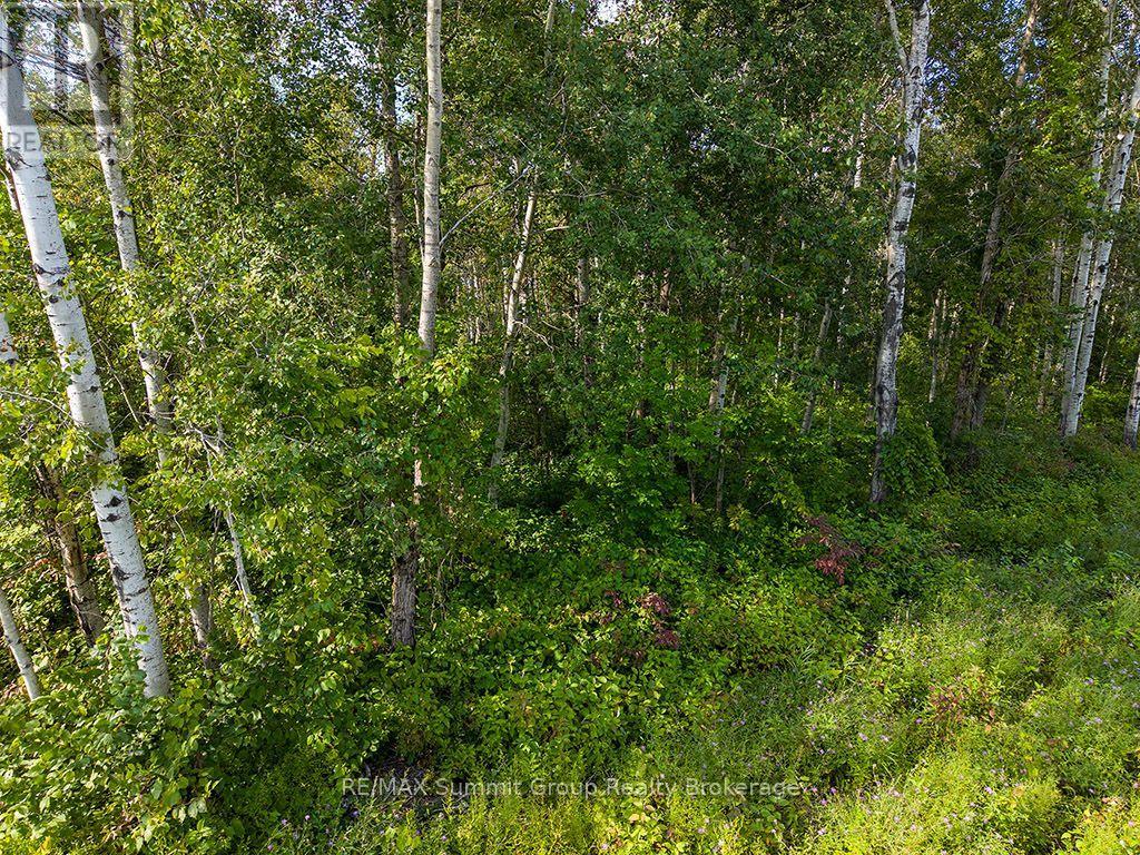 Pt Lt 70 West Back Line, Chatsworth, Ontario  N0C 1H0 - Photo 4 - X13097000