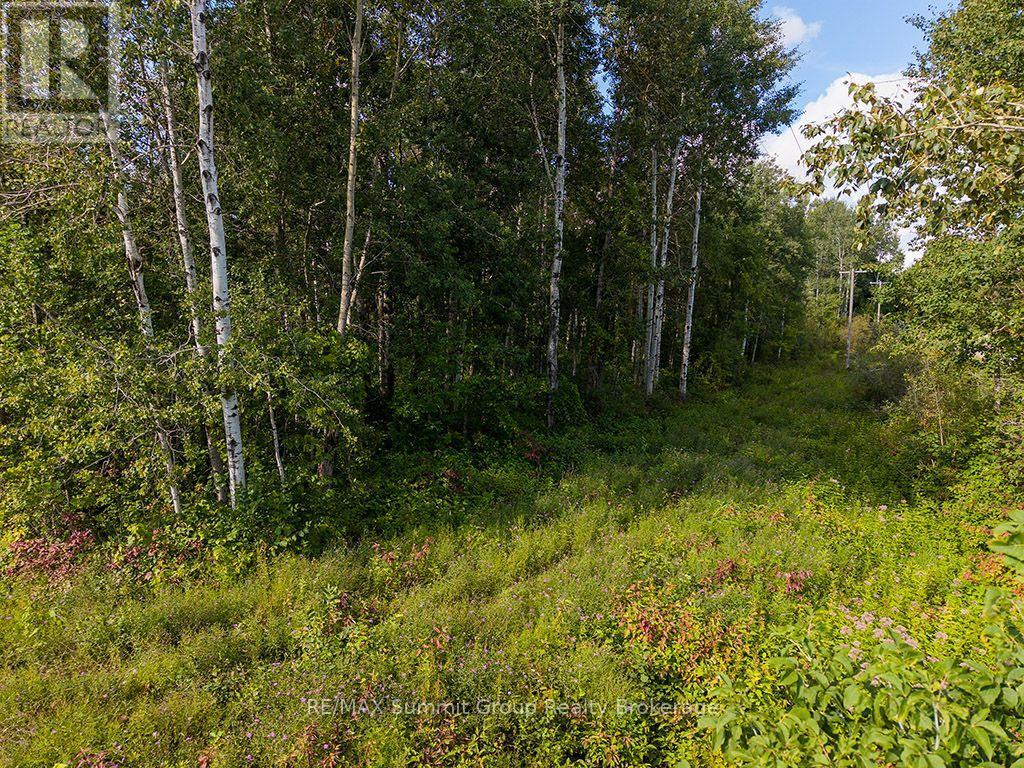 Pt Lt 70 West Back Line, Chatsworth, Ontario  N0C 1H0 - Photo 3 - X13097000