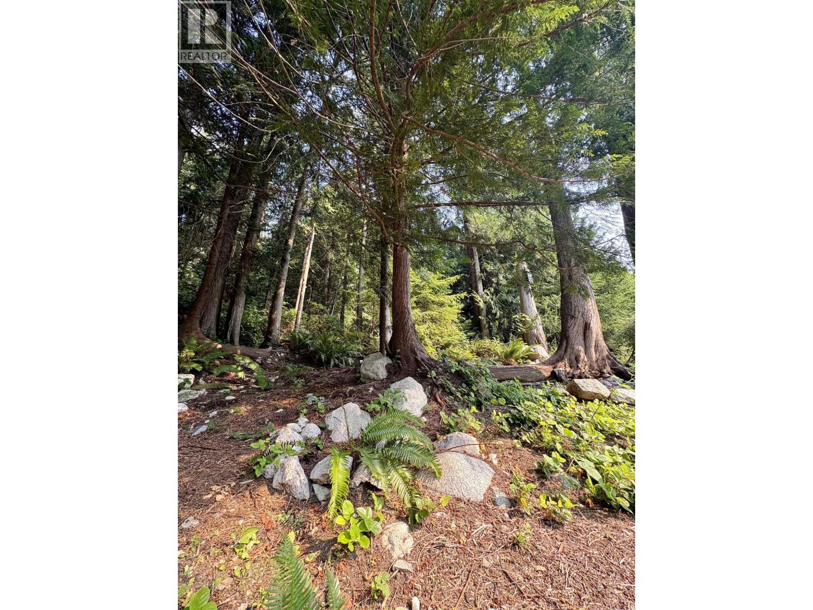 1549 Park Avenue, Roberts Creek, British Columbia  V0N 2W2 - Photo 39 - R3159360