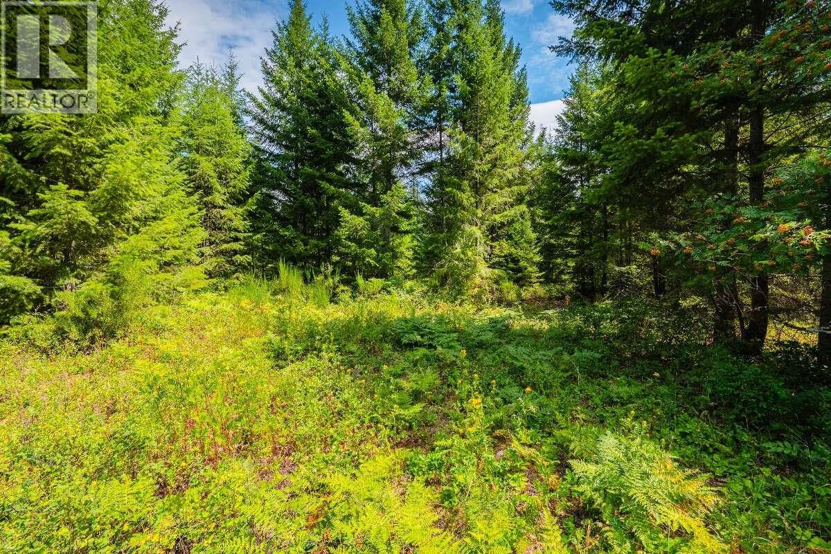 2842 Six Mile Lakes Road Lot# Lot 2, Nelson, British Columbia V1L 6W3 - Photo 19 - 10398974
