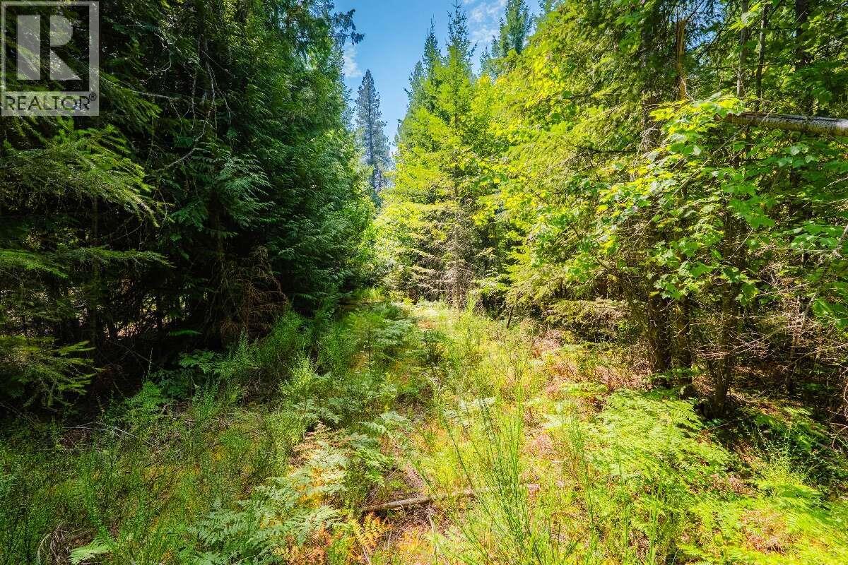 2842 Six Mile Lakes Road Lot# Lot 2, Nelson, British Columbia V1L 6W3 - Photo 24 - 10398974