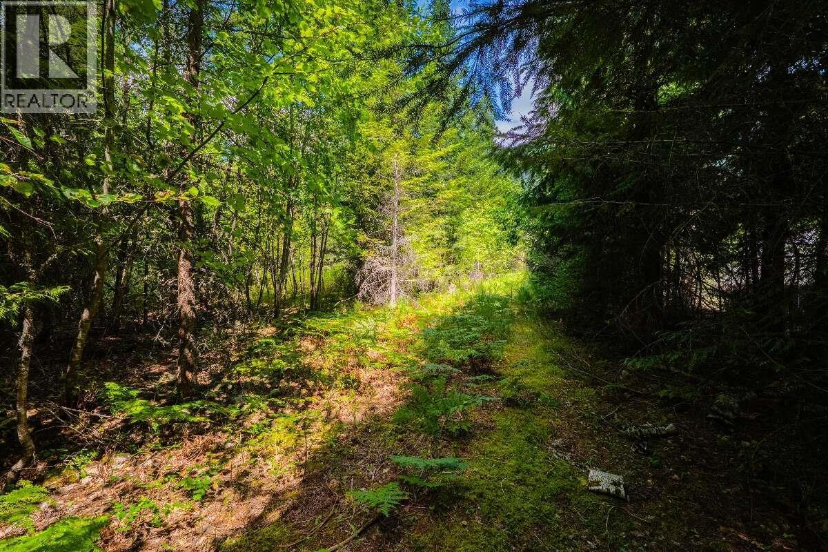 2842 Six Mile Lakes Road Lot# Lot 2, Nelson, British Columbia V1L 6W3 - Photo 25 - 10398974