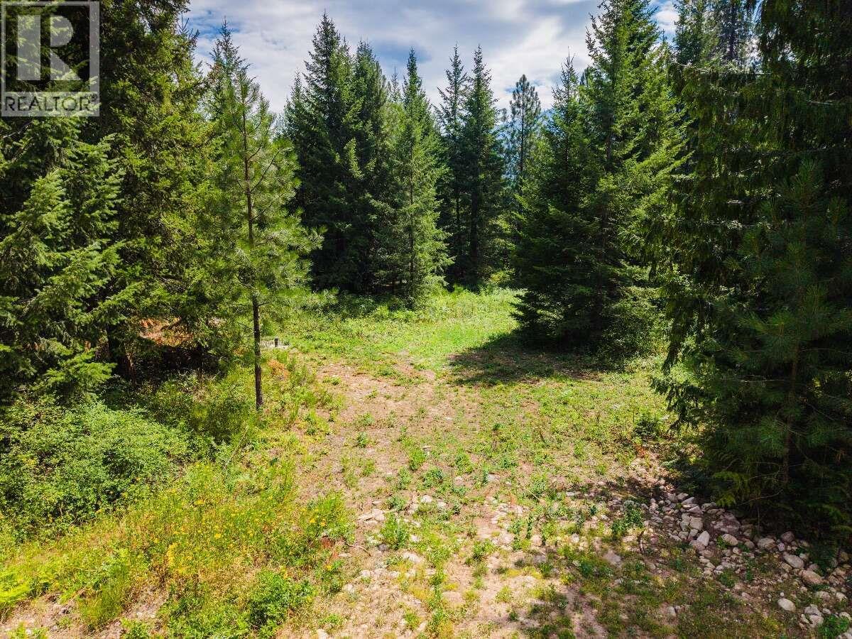2842 Six Mile Lakes Road Lot# Lot 2, Nelson, British Columbia V1L 6W3 - Photo 11 - 10398974