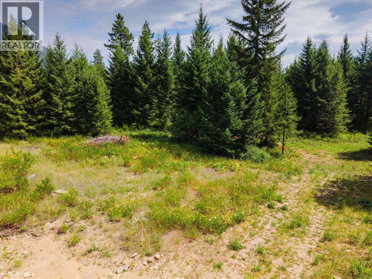 2842 Six Mile Lakes Road Lot# Lot 2, Nelson, British Columbia V1L 6W3 - Photo 10 - 10398974