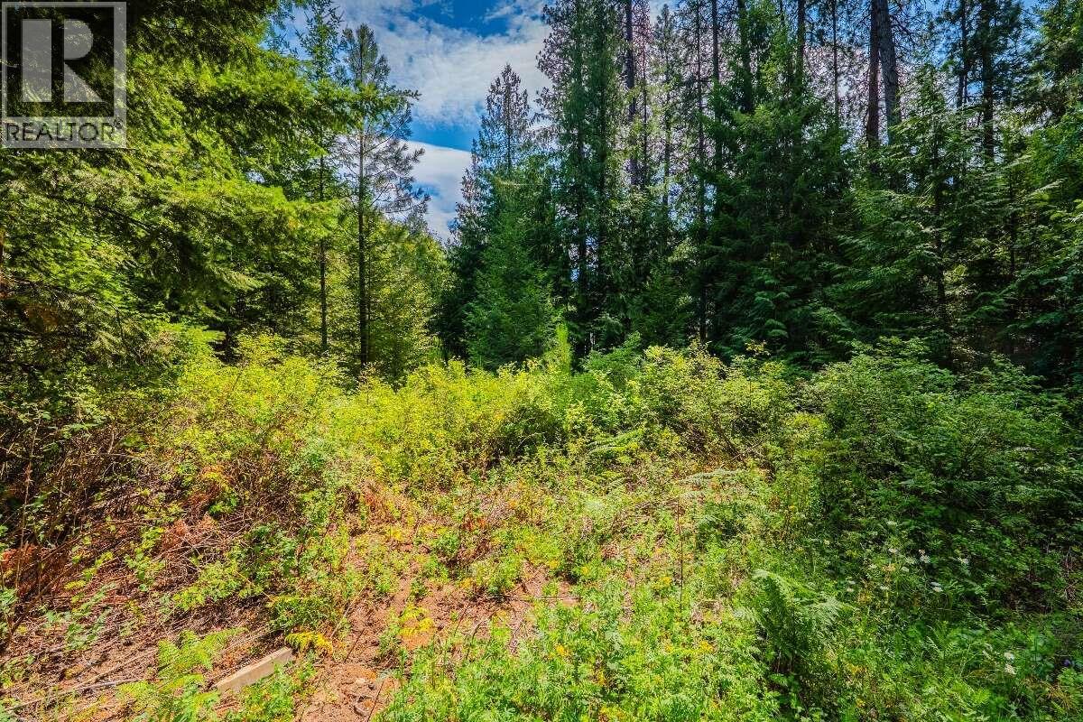 2842 Six Mile Lakes Road Lot# Lot 2, Nelson, British Columbia V1L 6W3 - Photo 18 - 10398974