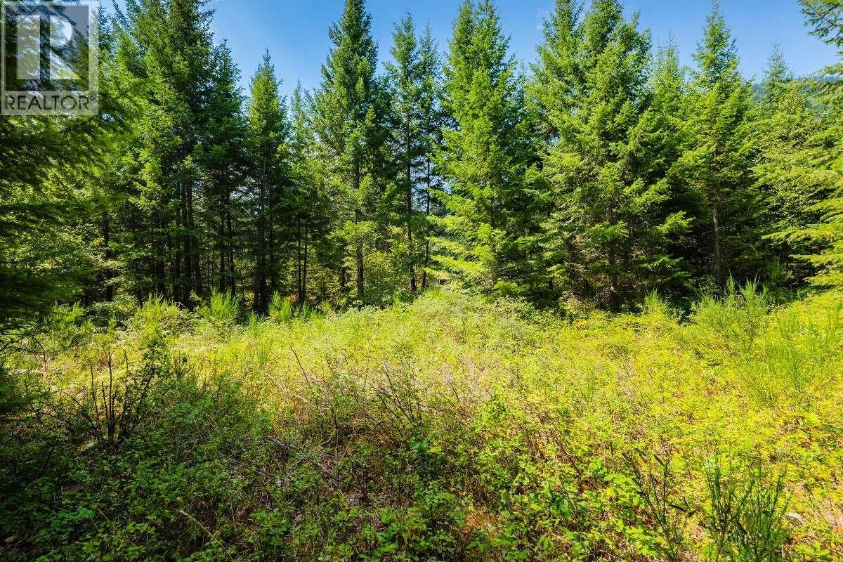 2842 Six Mile Lakes Road Lot# Lot 2, Nelson, British Columbia V1L 6W3 - Photo 23 - 10398974