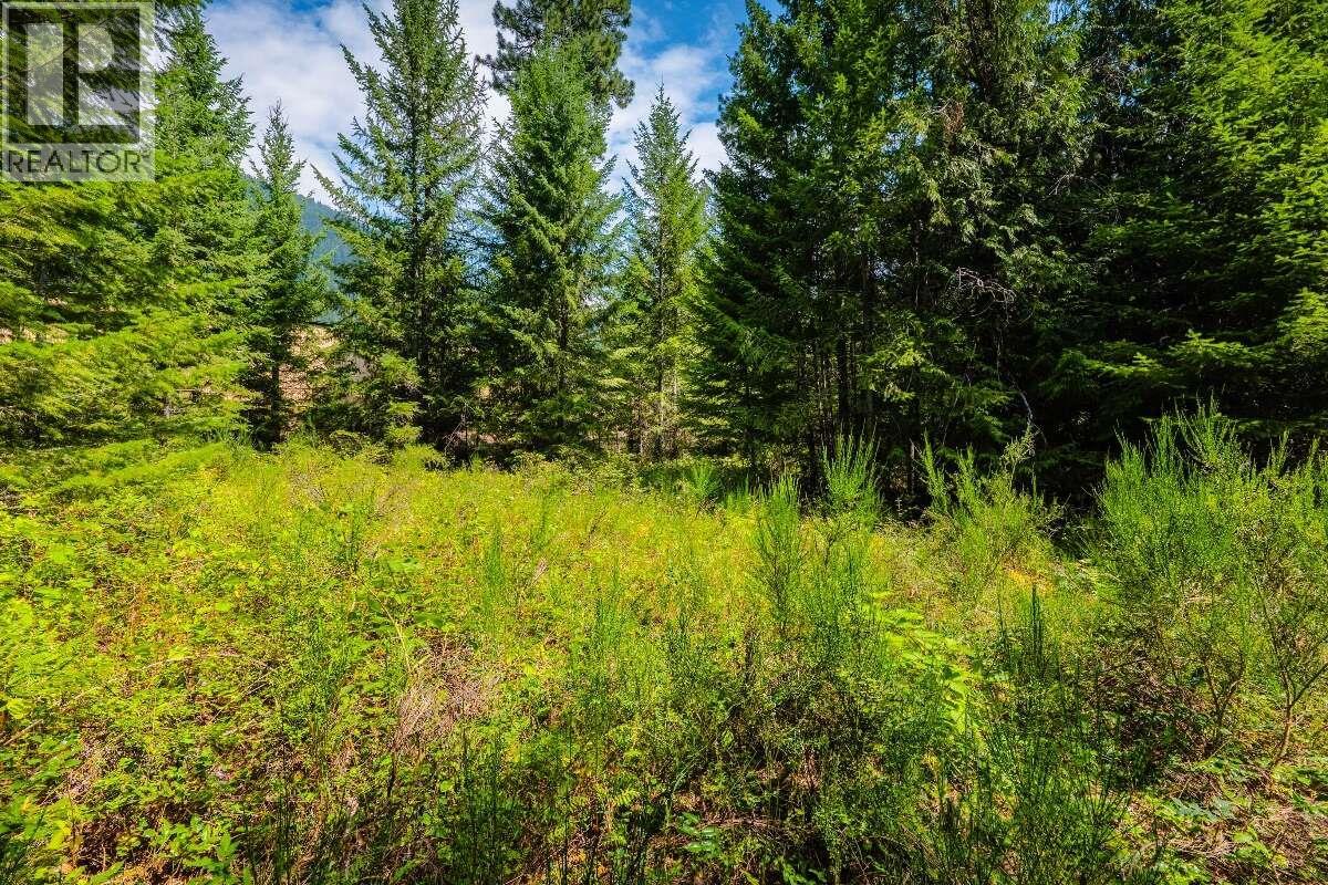 2842 Six Mile Lakes Road Lot# Lot 2, Nelson, British Columbia V1L 6W3 - Photo 20 - 10398974