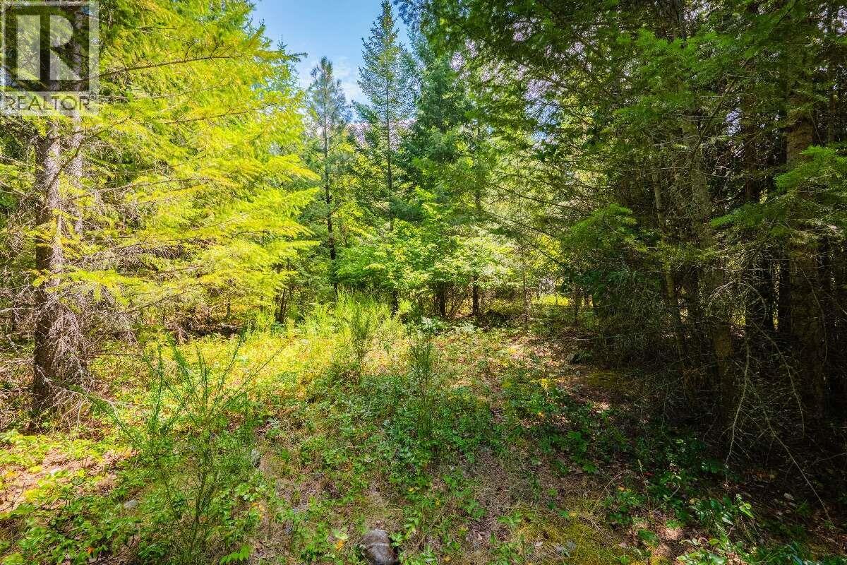 2842 Six Mile Lakes Road Lot# Lot 2, Nelson, British Columbia V1L 6W3 - Photo 22 - 10398974