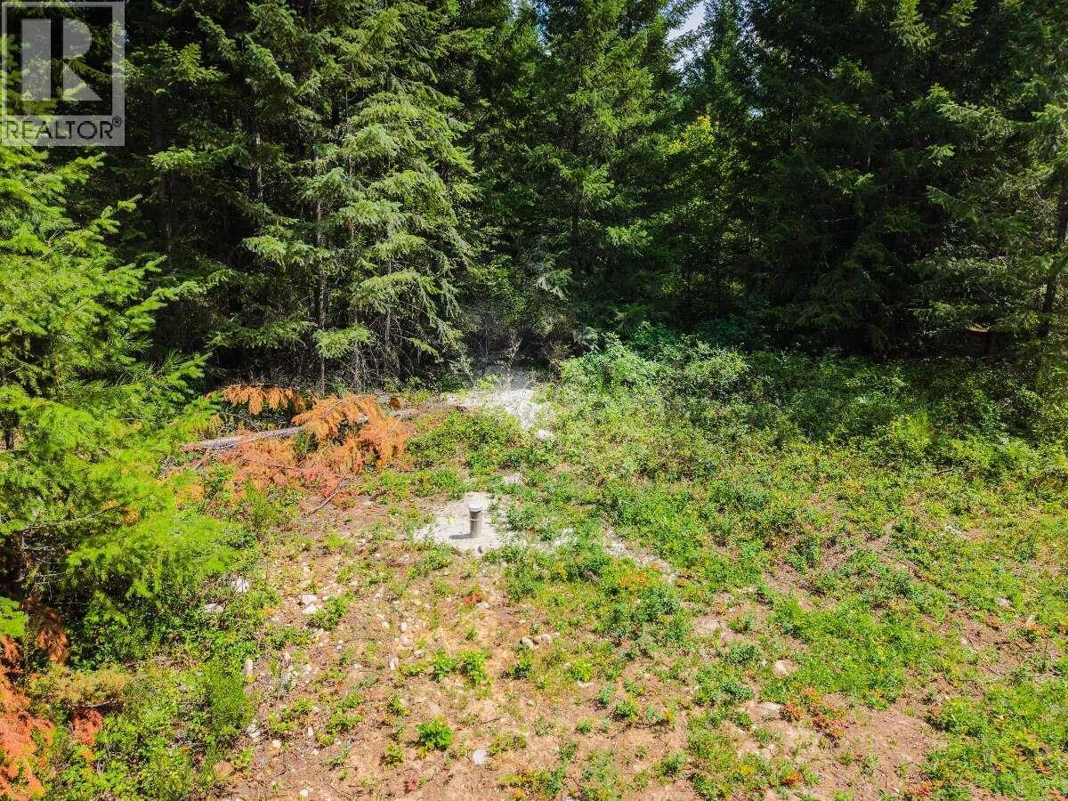 2842 Six Mile Lakes Road Lot# Lot 2, Nelson, British Columbia V1L 6W3 - Photo 12 - 10398974