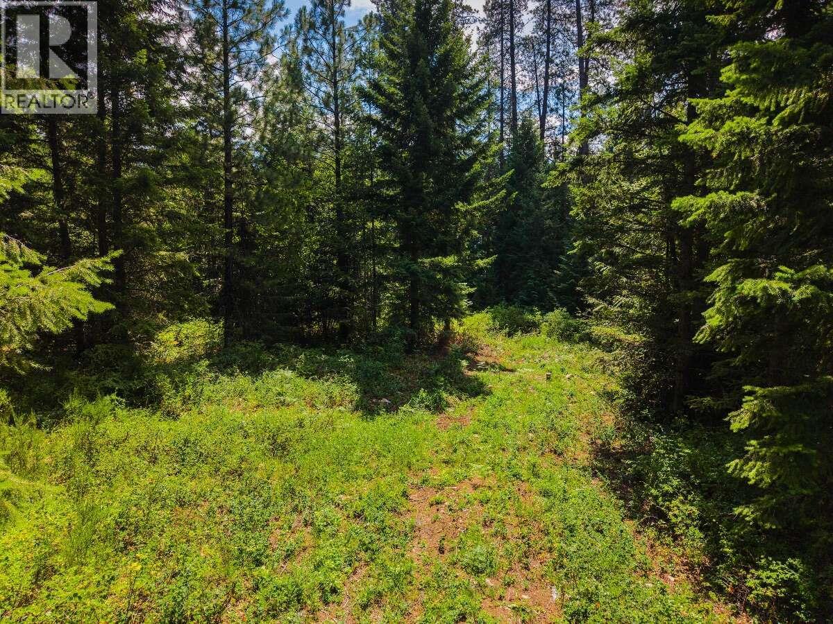 2842 Six Mile Lakes Road Lot# Lot 2, Nelson, British Columbia V1L 6W3 - Photo 13 - 10398974