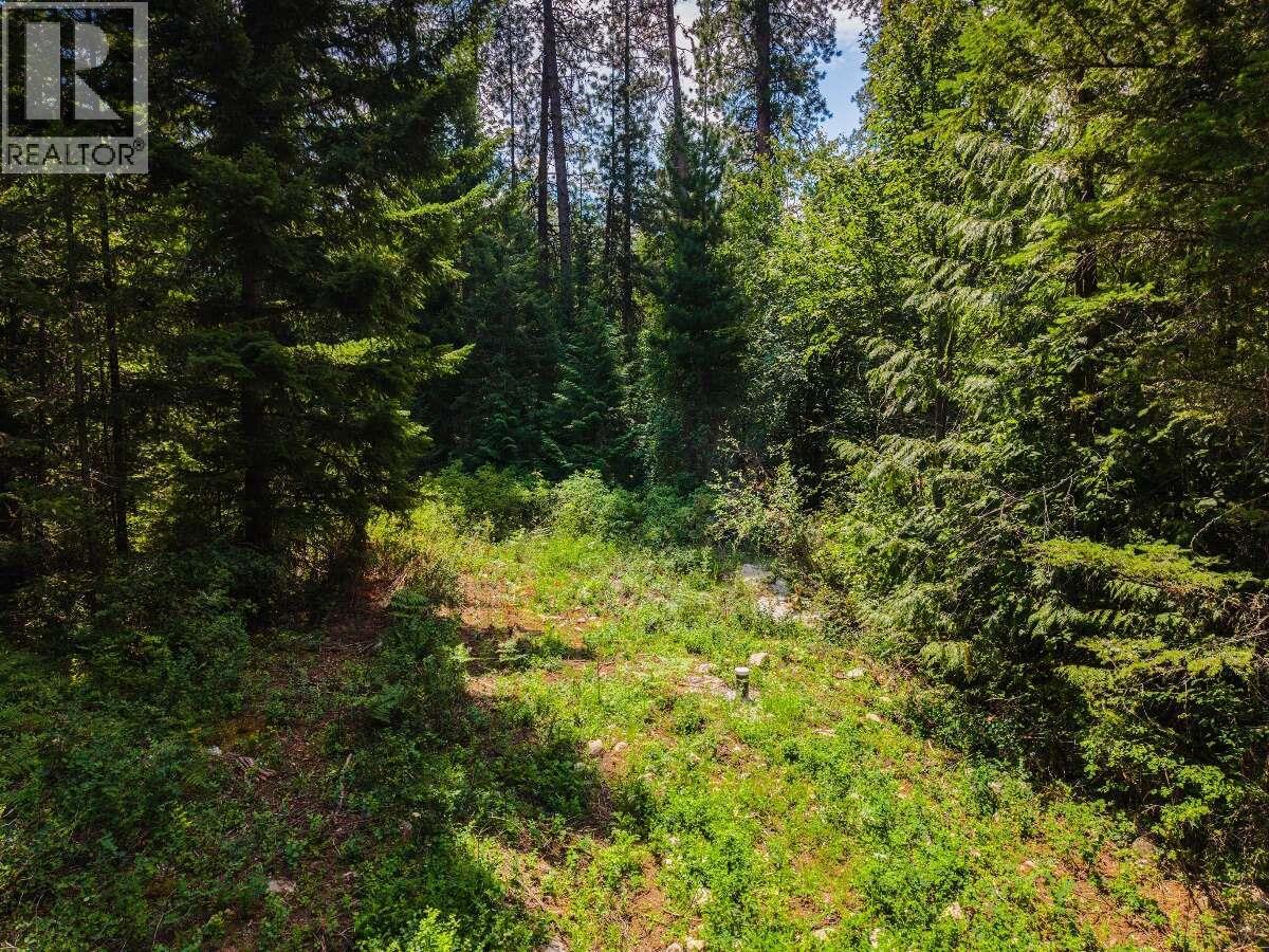 2842 Six Mile Lakes Road Lot# Lot 2, Nelson, British Columbia V1L 6W3 - Photo 14 - 10398974