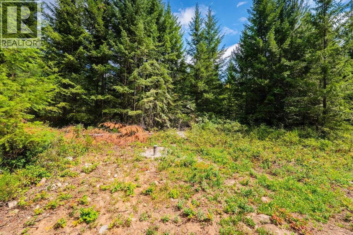 2842 Six Mile Lakes Road Lot# Lot 2, Nelson, British Columbia V1L 6W3 - Photo 17 - 10398974