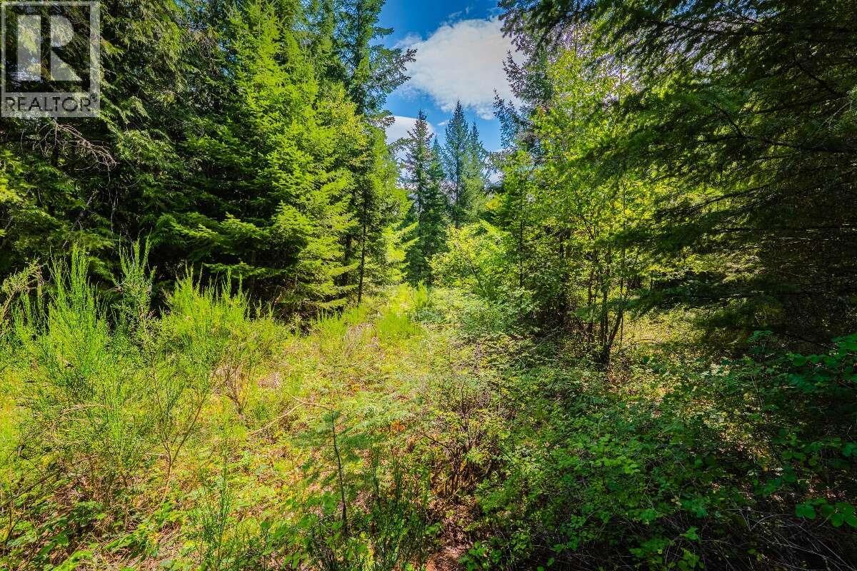 2842 Six Mile Lakes Road Lot# Lot 2, Nelson, British Columbia V1L 6W3 - Photo 21 - 10398974