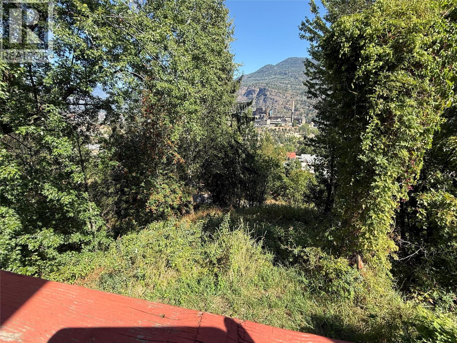 943 Mountain Street, Trail, British Columbia V1R 3G6 - Photo 17 - 10398793