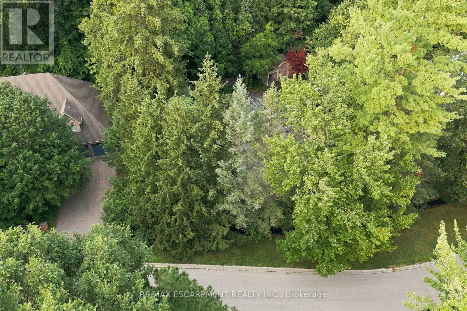 2035a Heartwood Court, Mississauga, Ontario  L5C 4P7 - Photo 6 - W13718842