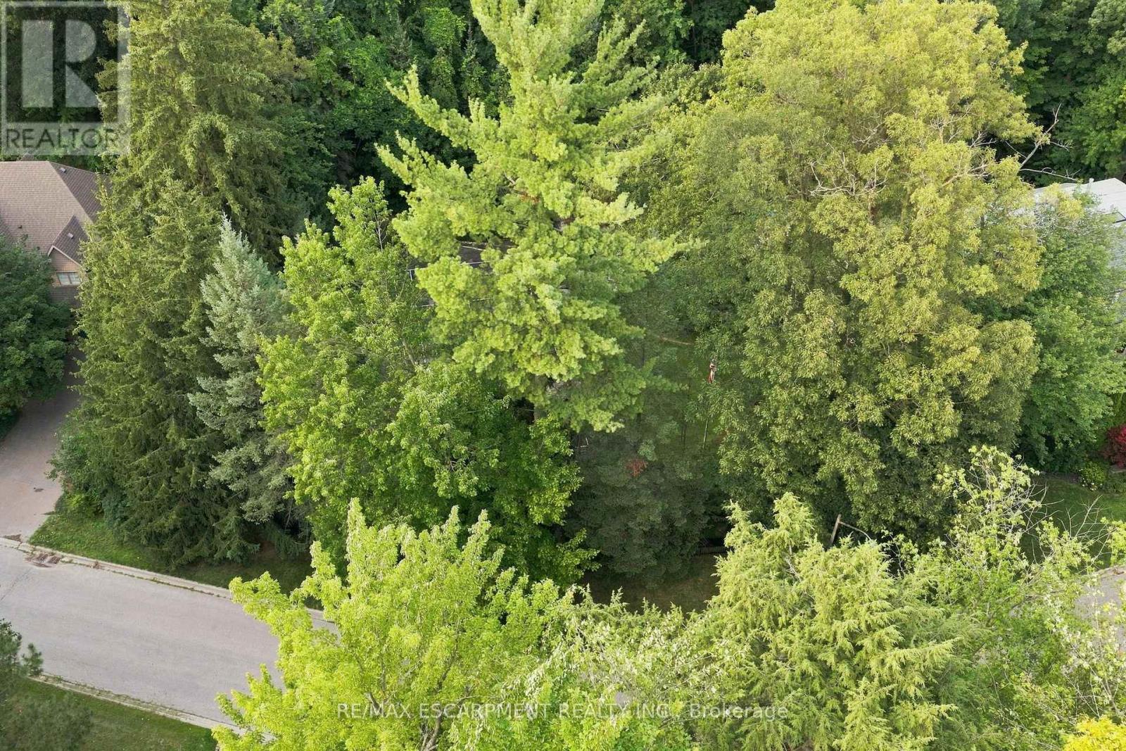 2035a Heartwood Court, Mississauga, Ontario  L5C 4P7 - Photo 7 - W13718842