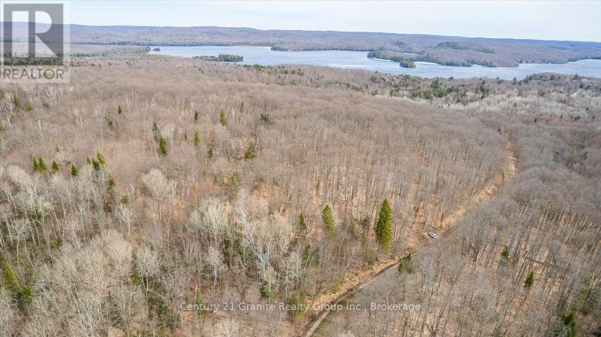99 Forest View Road, Bancroft, Ontario  K0L 1C0 - Photo 26 - X13601290