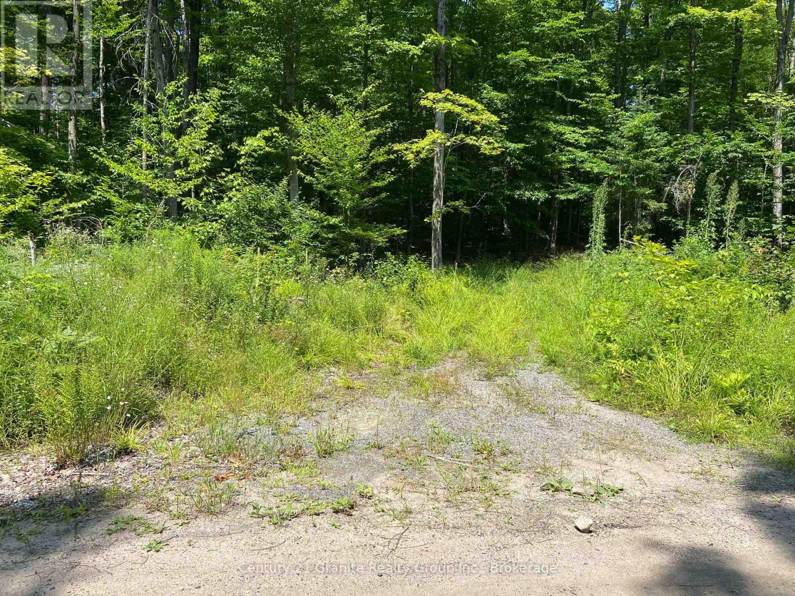99 Forest View Road, Bancroft, Ontario  K0L 1C0 - Photo 21 - X13601290