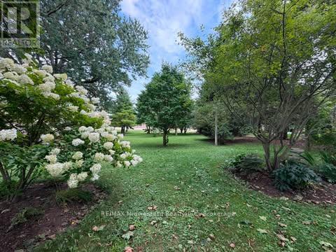 69 Louise Street, Minto, Ontario  N0G 1Z0 - Photo 3 - X12984978