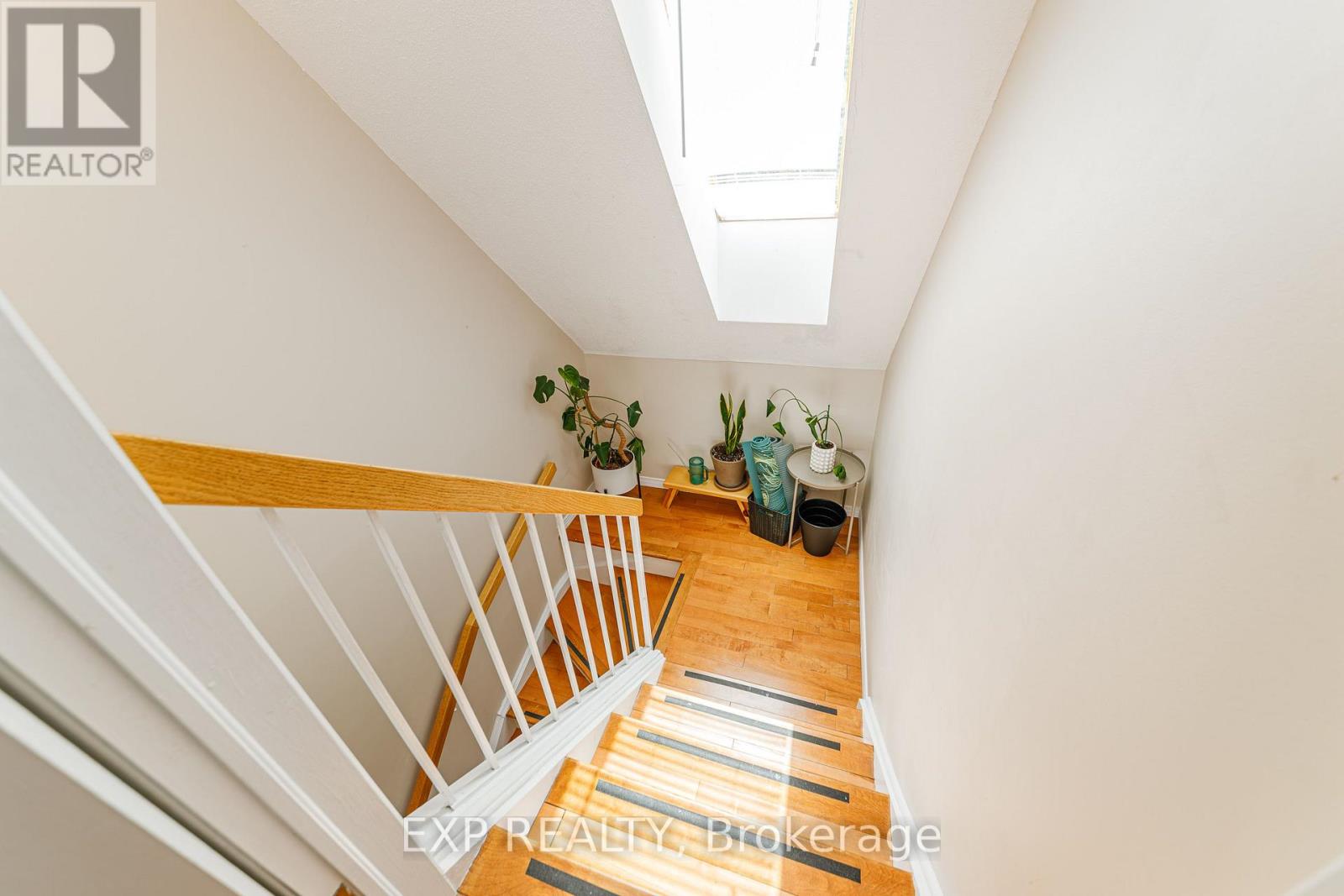 8 Maclean Street, Ottawa, Ontario K1S 3E9 - Photo 28 - X13718876