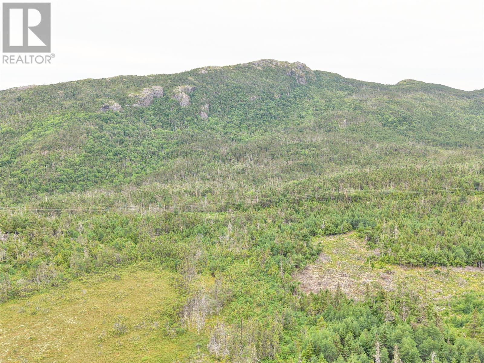 Lot B Butlers Road, Holyrood — photo 14