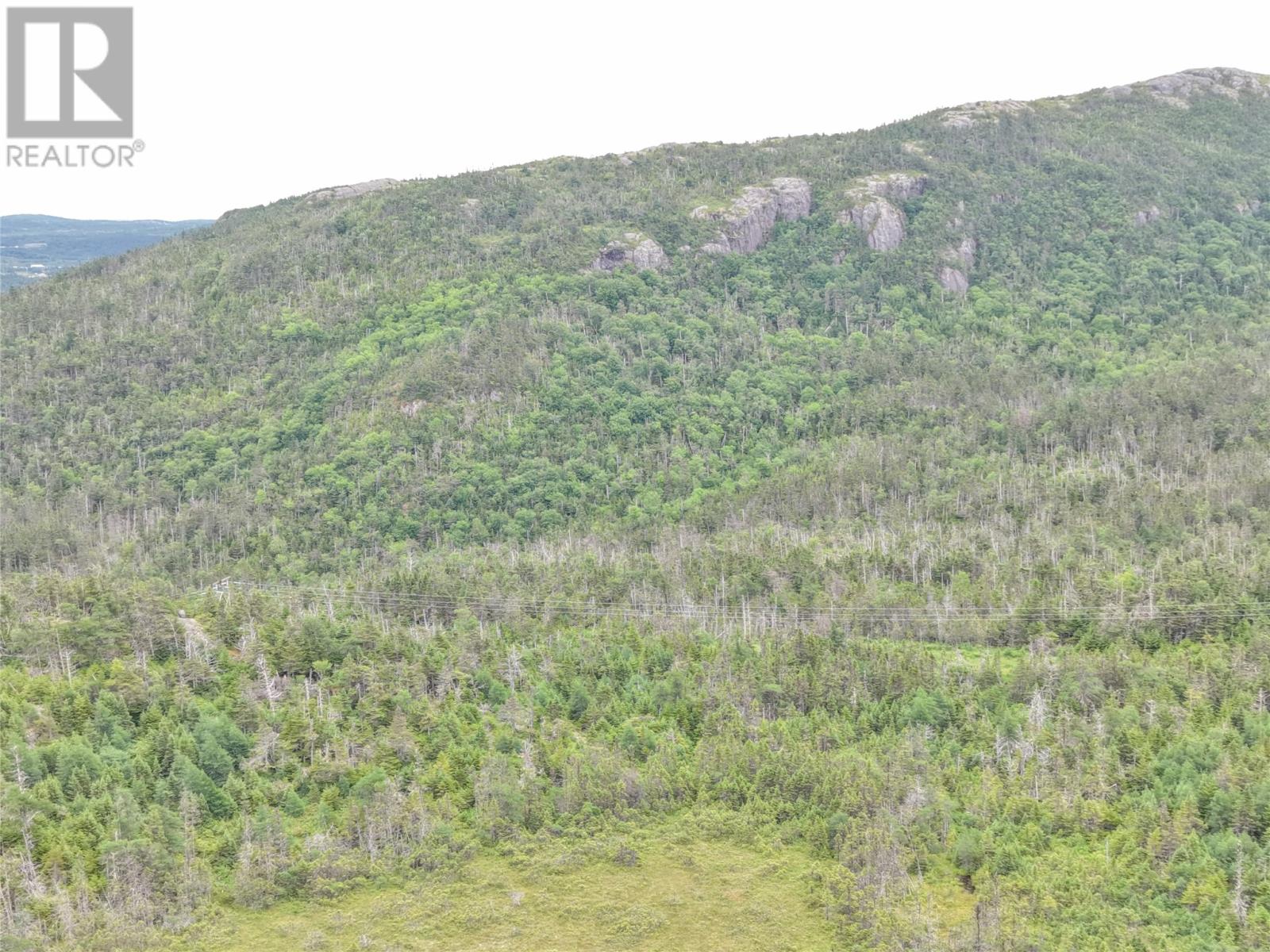 Lot B Butlers Road, Holyrood — photo 16