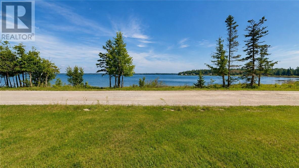 35 Ducks Bay Road, South Bay Mouth, Ontario  P0P 1Z0 - Photo 40 - 2130035