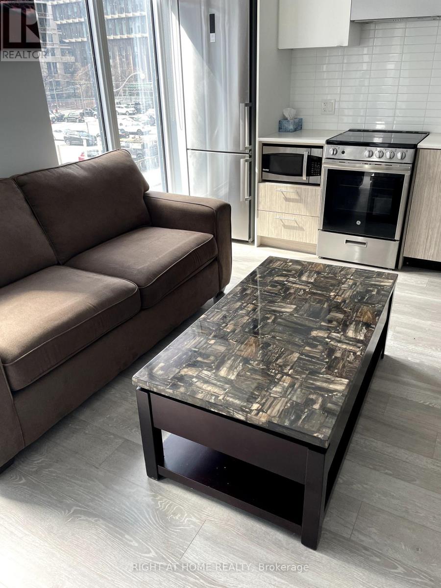 216 - 251 Jarvis Street, Toronto, Ontario  M5B 0C3 - Photo 11 - C13719140