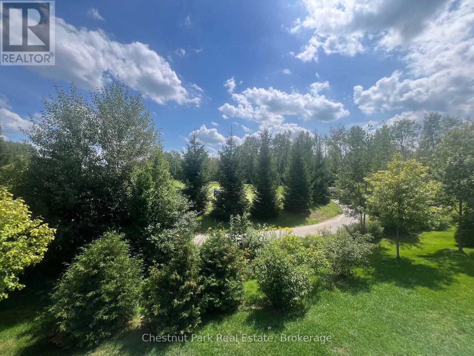 22 Kennedy Avenue, Collingwood, Ontario  L9Y 0Z5 - Photo 25 - S13719124