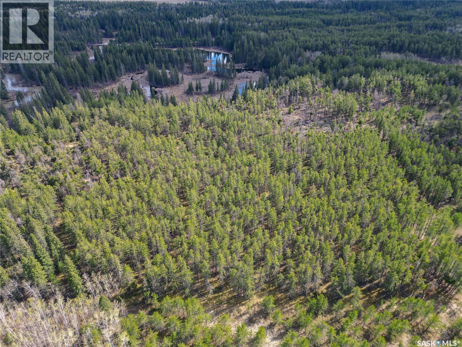 Little Red Villas Inc.(20.07 Acre) Parcel, Buckland Rm No. 491, Saskatchewan  S0J 1C0 - Photo 10 - SK046831
