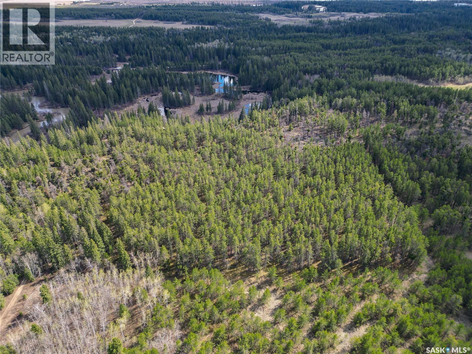 Little Red Villas Inc.(20.07 Acre) Parcel, Buckland Rm No. 491, Saskatchewan  S0J 1C0 - Photo 11 - SK046831