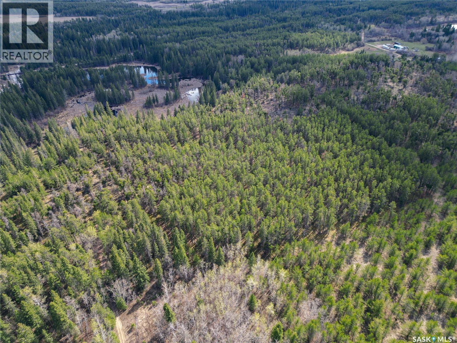 Little Red Villas Inc.(20.07 Acre) Parcel, Buckland Rm No. 491, Saskatchewan  S0J 1C0 - Photo 13 - SK046831