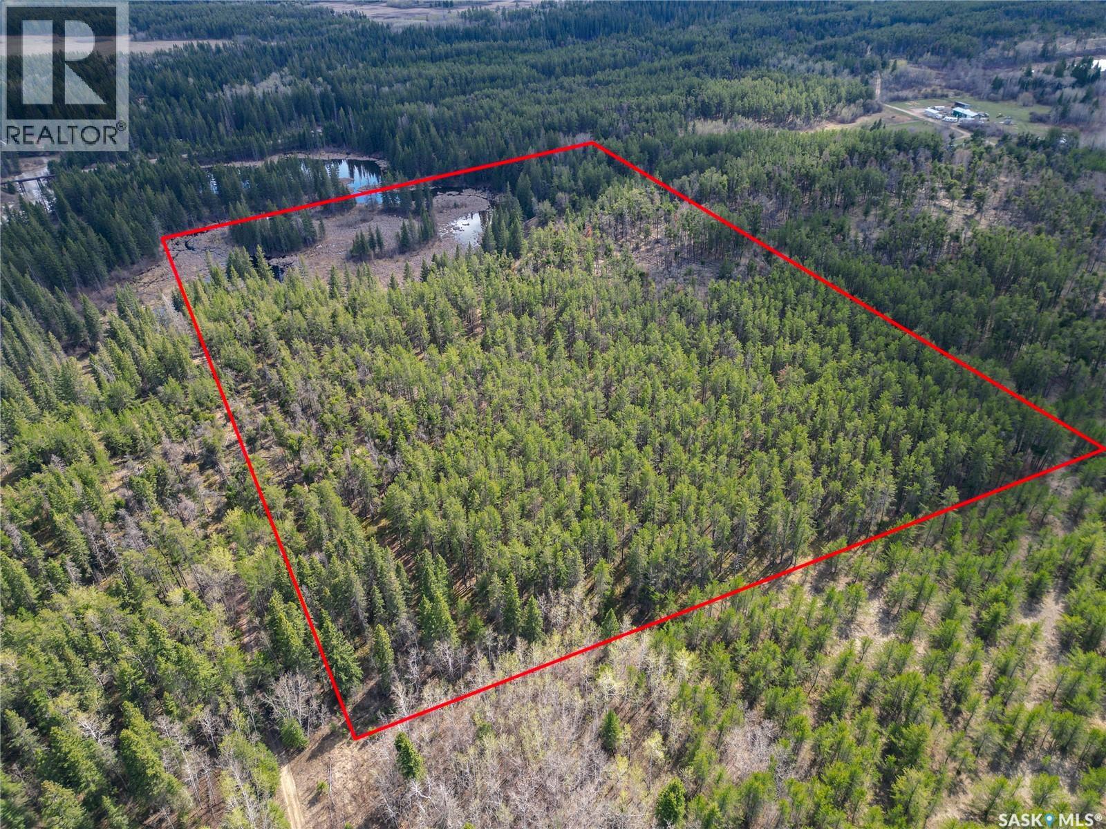 Little Red Villas Inc.(20.07 Acre) Parcel, Buckland Rm No. 491, Saskatchewan  S0J 1C0 - Photo 14 - SK046831
