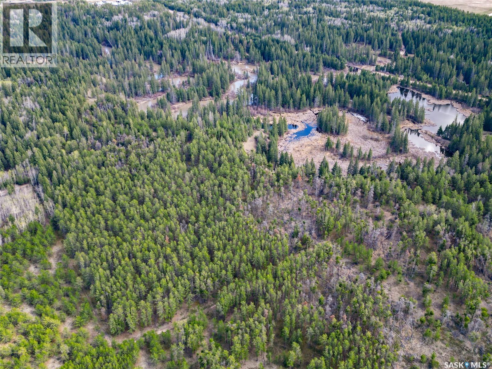 Little Red Villas Inc.(20.07 Acre) Parcel, Buckland Rm No. 491, Saskatchewan  S0J 1C0 - Photo 17 - SK046831