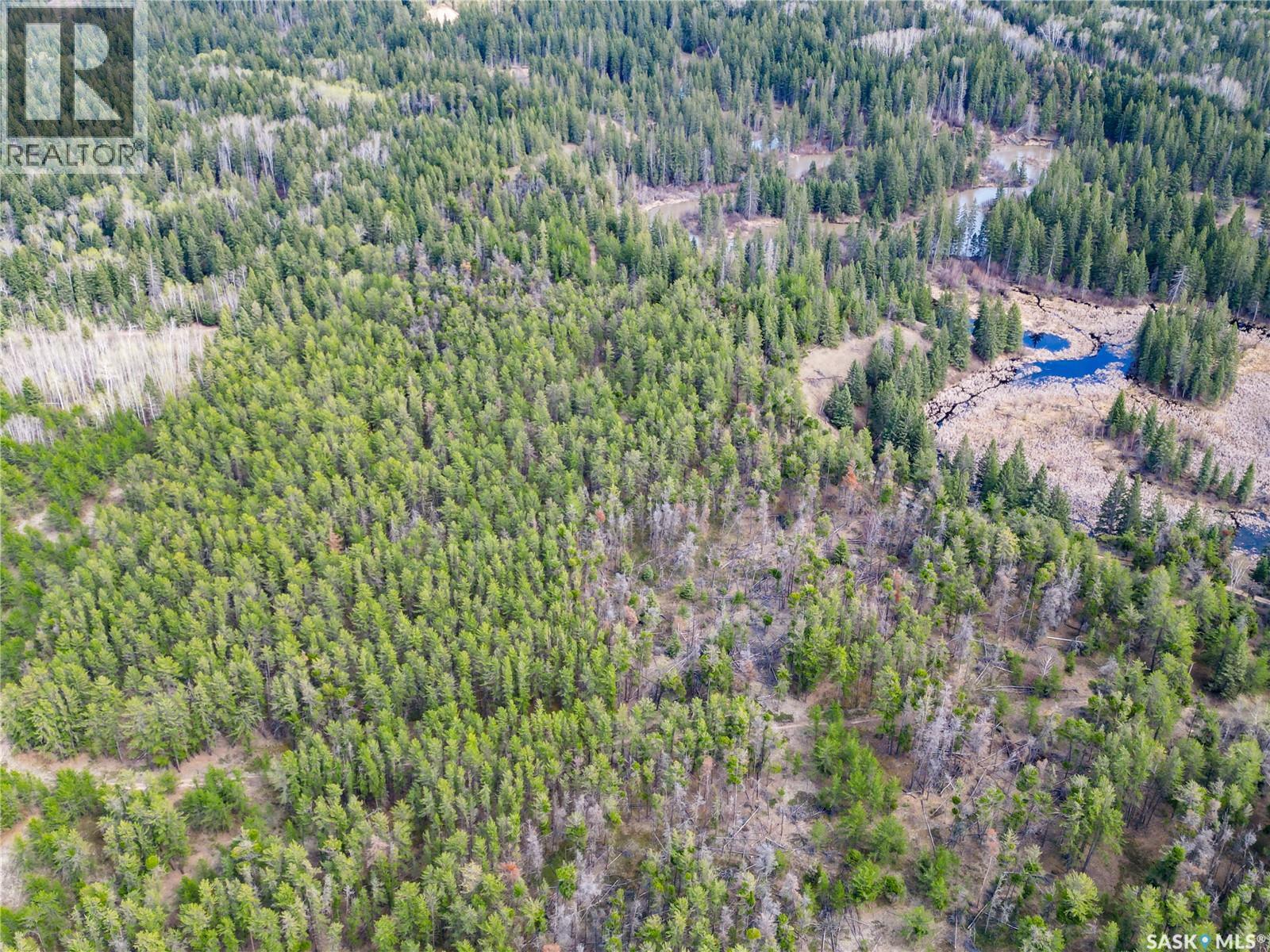 Little Red Villas Inc.(20.07 Acre) Parcel, Buckland Rm No. 491, Saskatchewan  S0J 1C0 - Photo 19 - SK046831